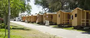 Servicio de Cerrajero en La Rana Verde