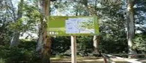 Servicio de Cerrajero en Pinar de los Franceses